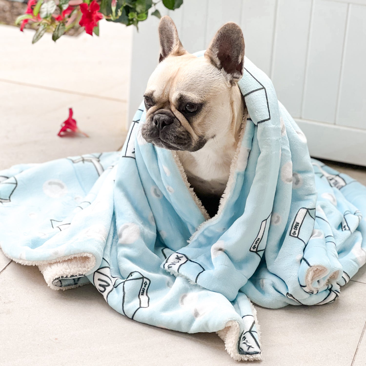 Milk Carton - Extra Soft Pet Blanket