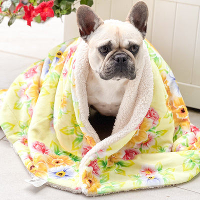 Summer Fling - Extra Soft Pet Blanket