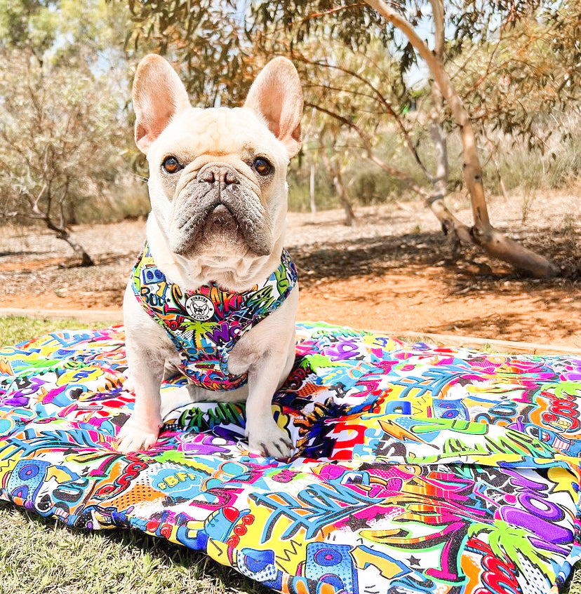 Graffiti - Adventure Mat - End Of Line