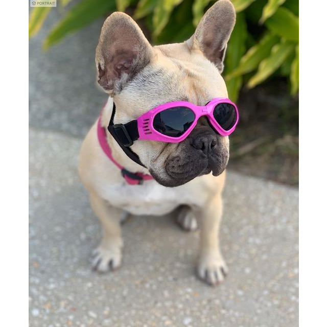 Dog Sun Doggles PINK.