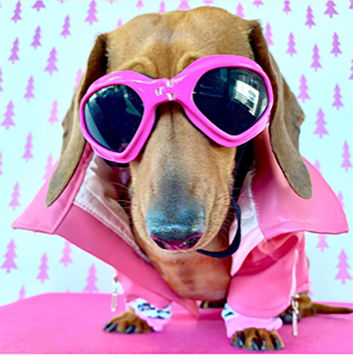 Dog Sun Doggles PINK.