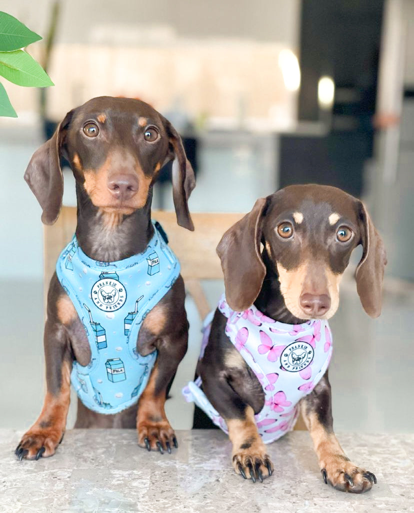 Butterfly Kisses - Adjustable Harness