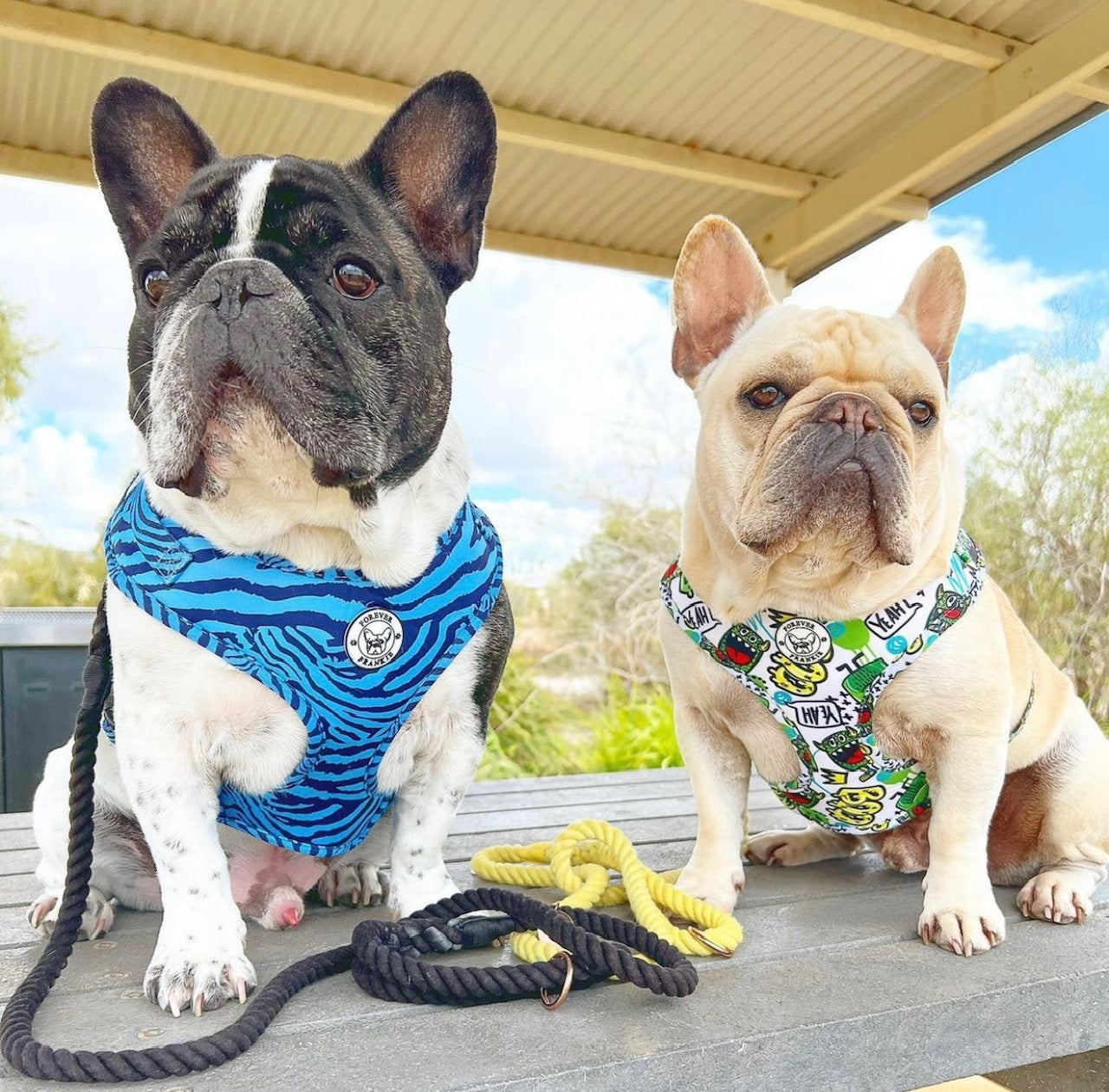 Safari Blues - Adjustable Harness - End Of Line