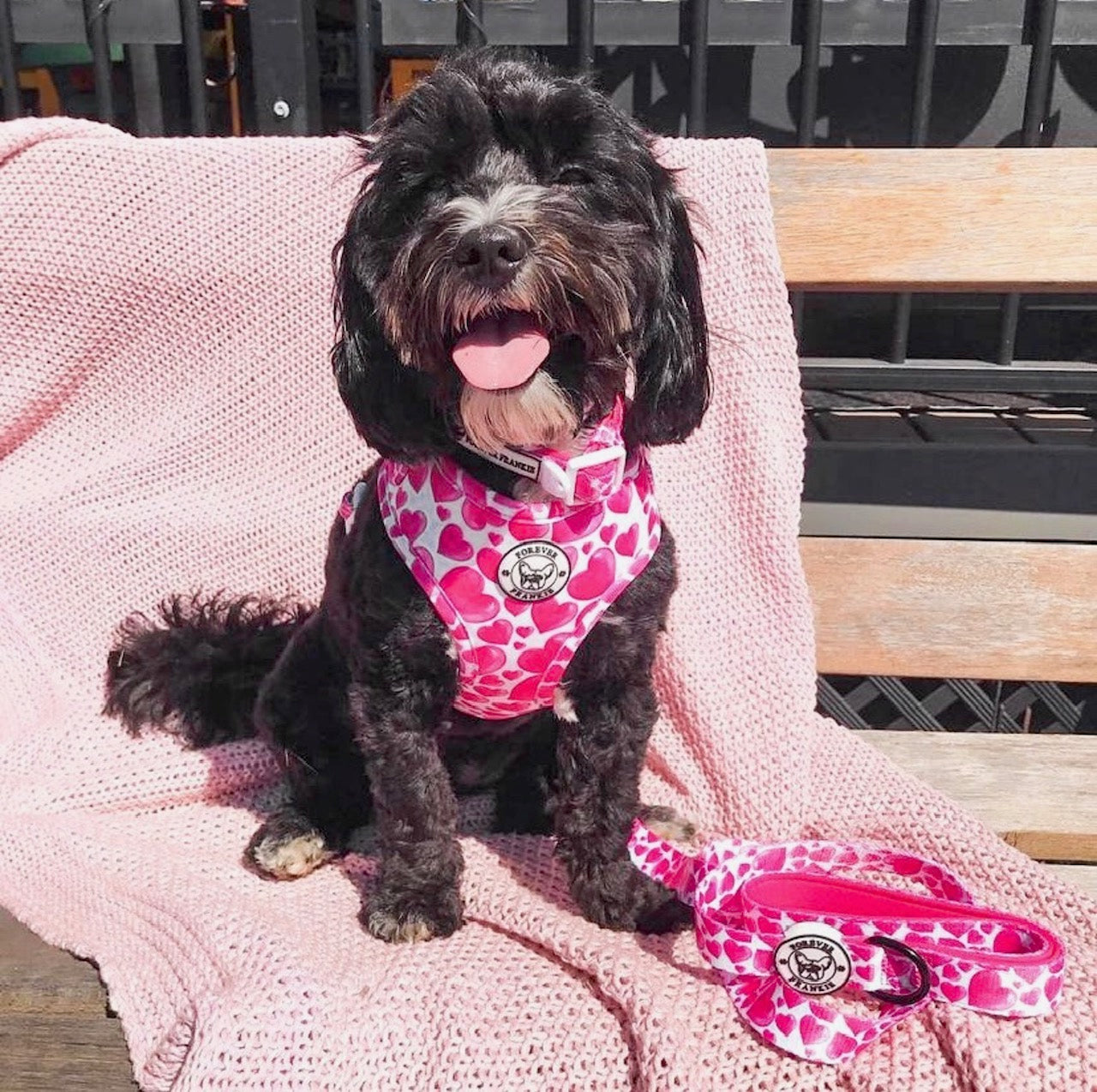 Sweethearts - Dog Lead