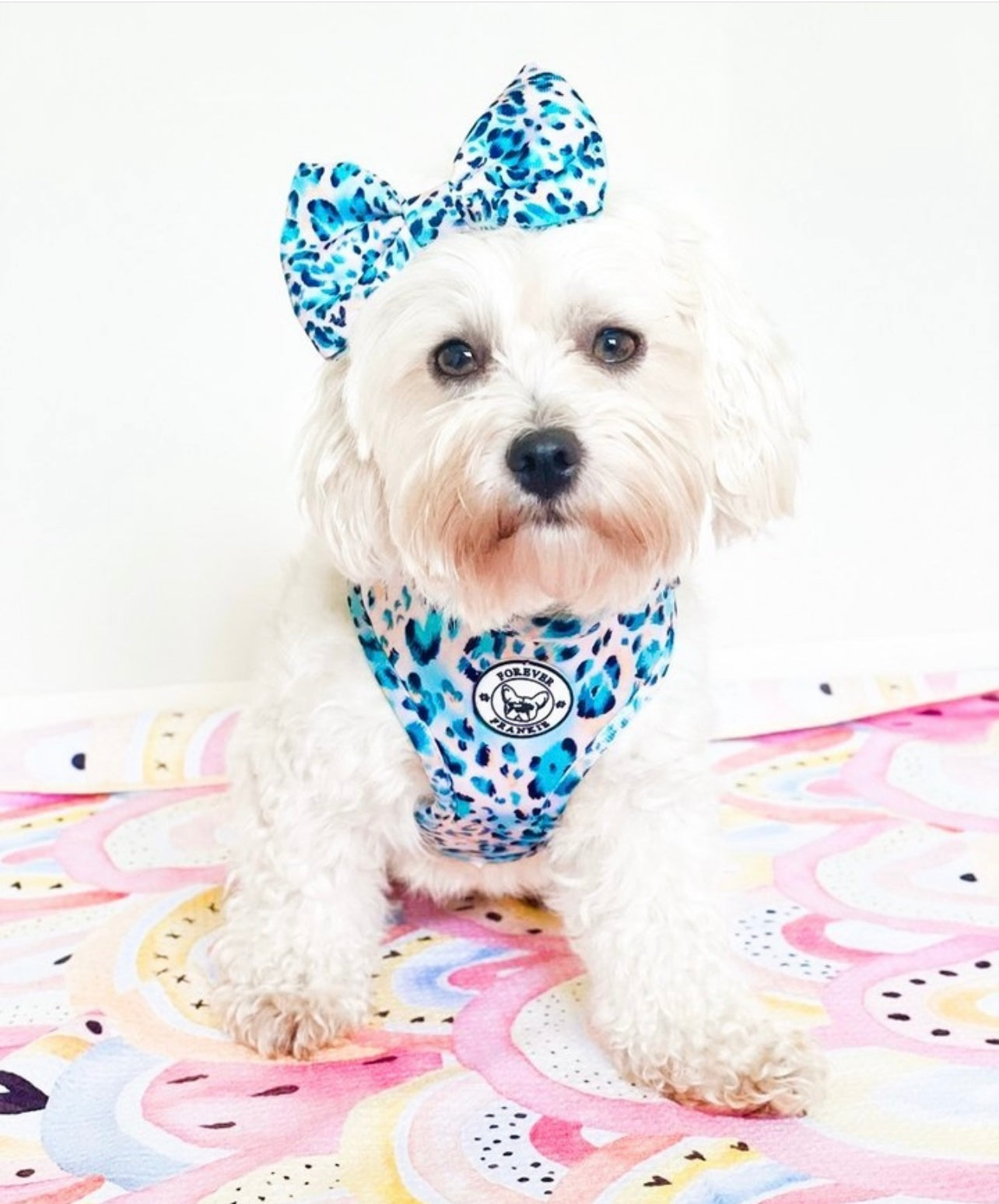 Jungle Fever - Bow Tie