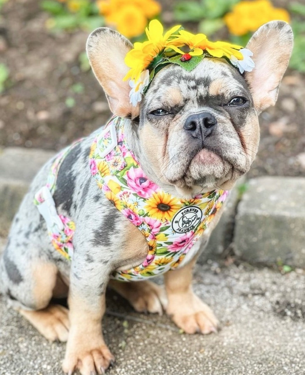 Heavenly Sunflower - Adjustable Harness