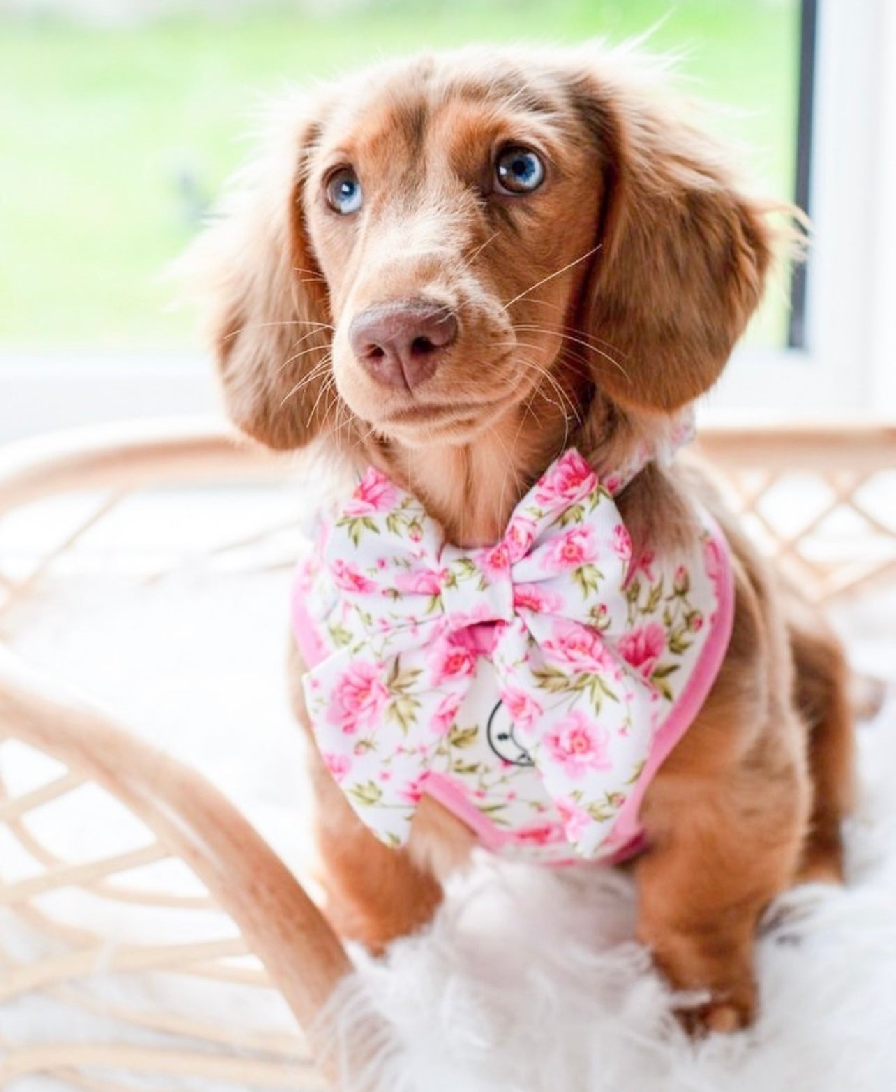 Peony Blooms - Sailor Bow Tie