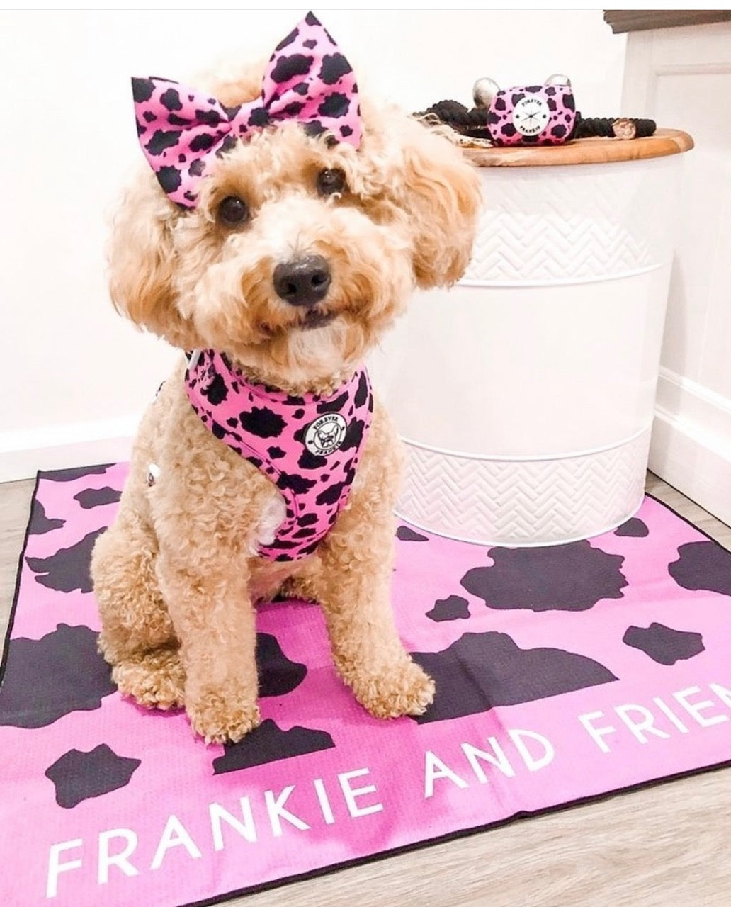 Strawberry Milk - Bow Tie - End Of Line