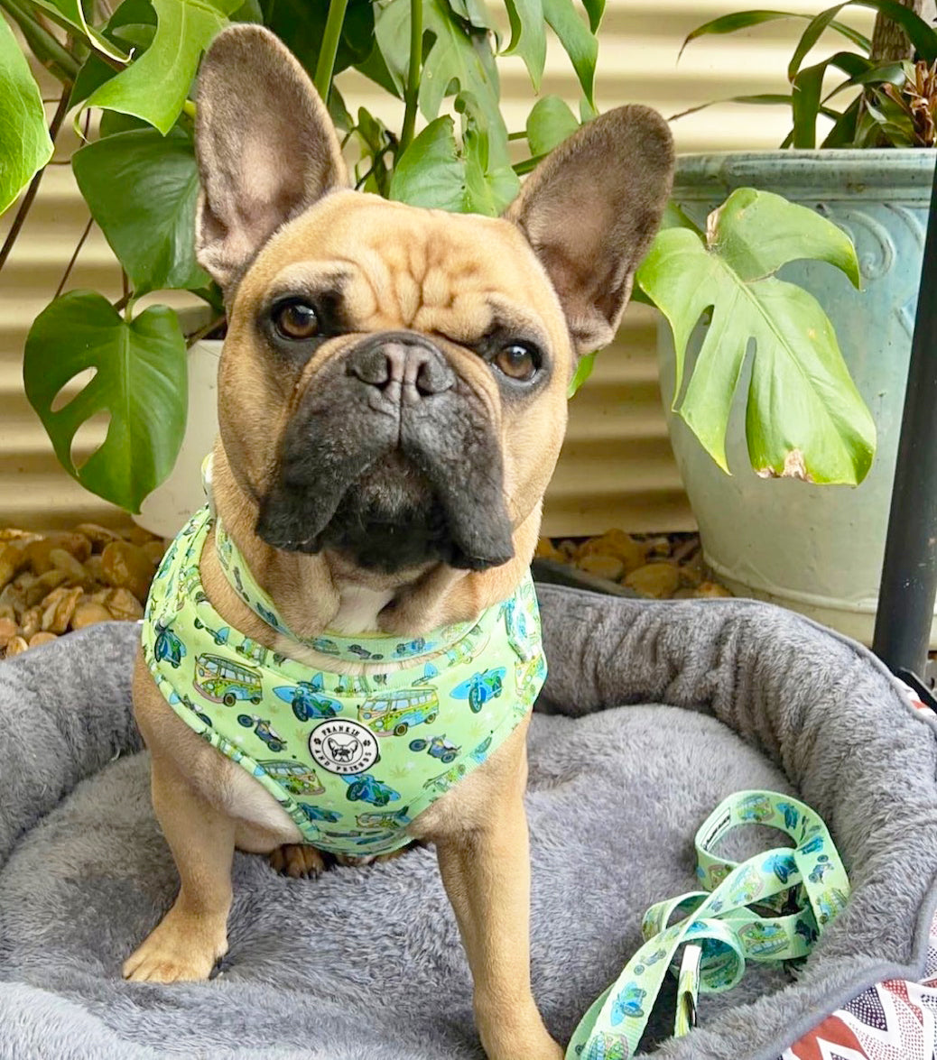 Endless Summer - Dog Lead - End Of Line