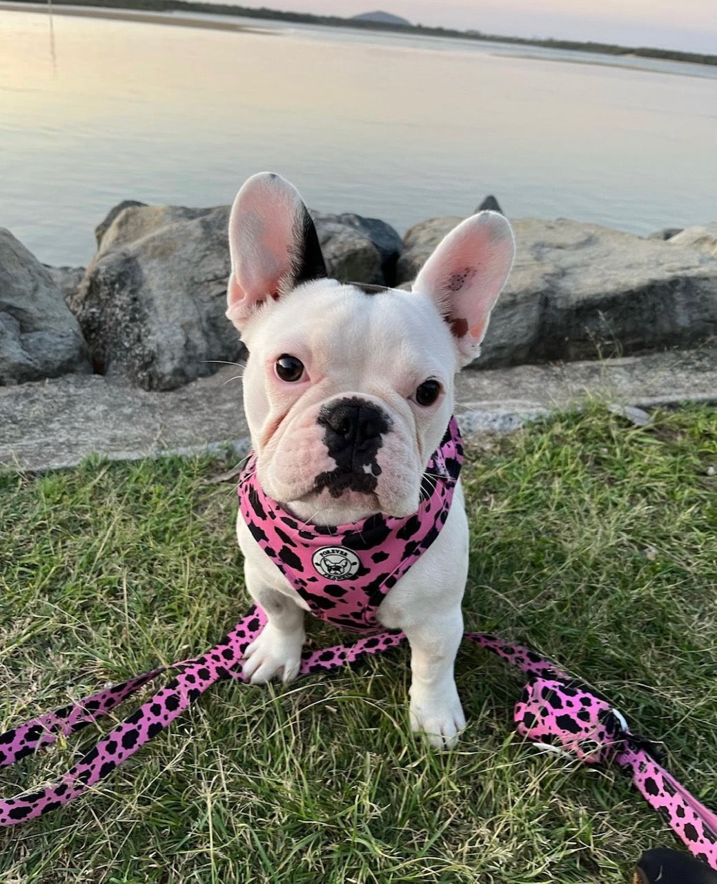 Strawberry Milk - Poop Bag Holder - End Of Line