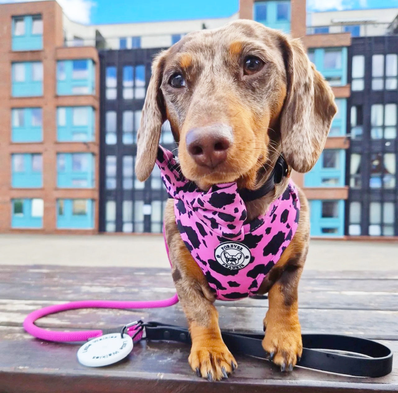 Strawberry Milk - Bow Tie - End Of Line