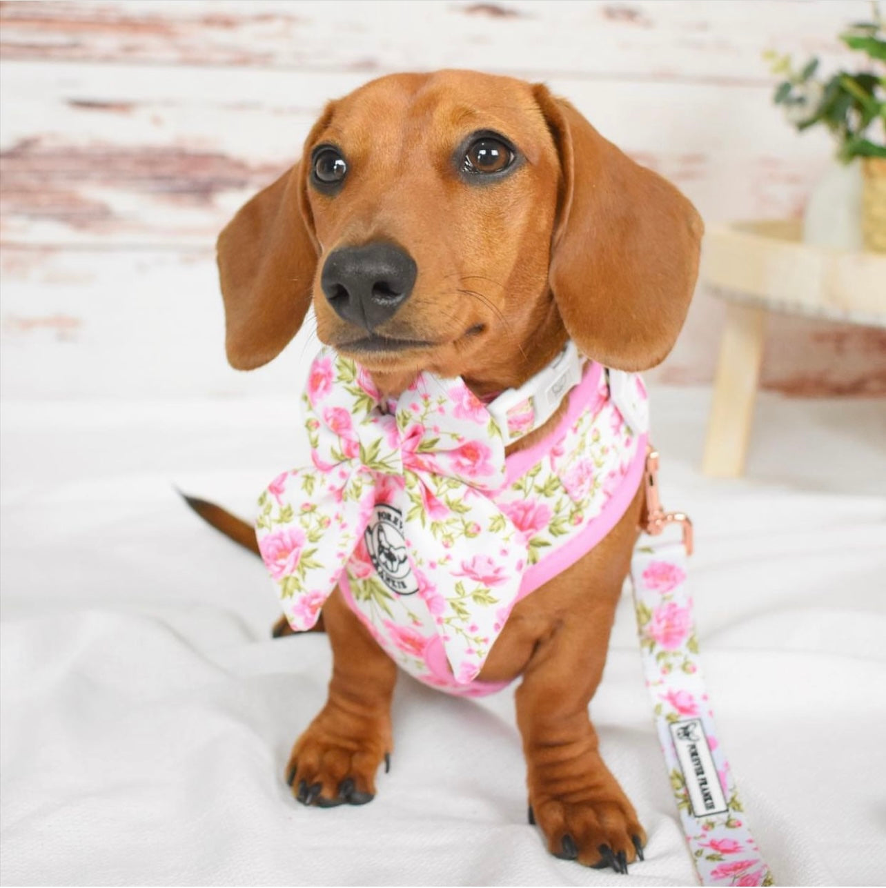 Peony Blooms - Sailor Bow Tie