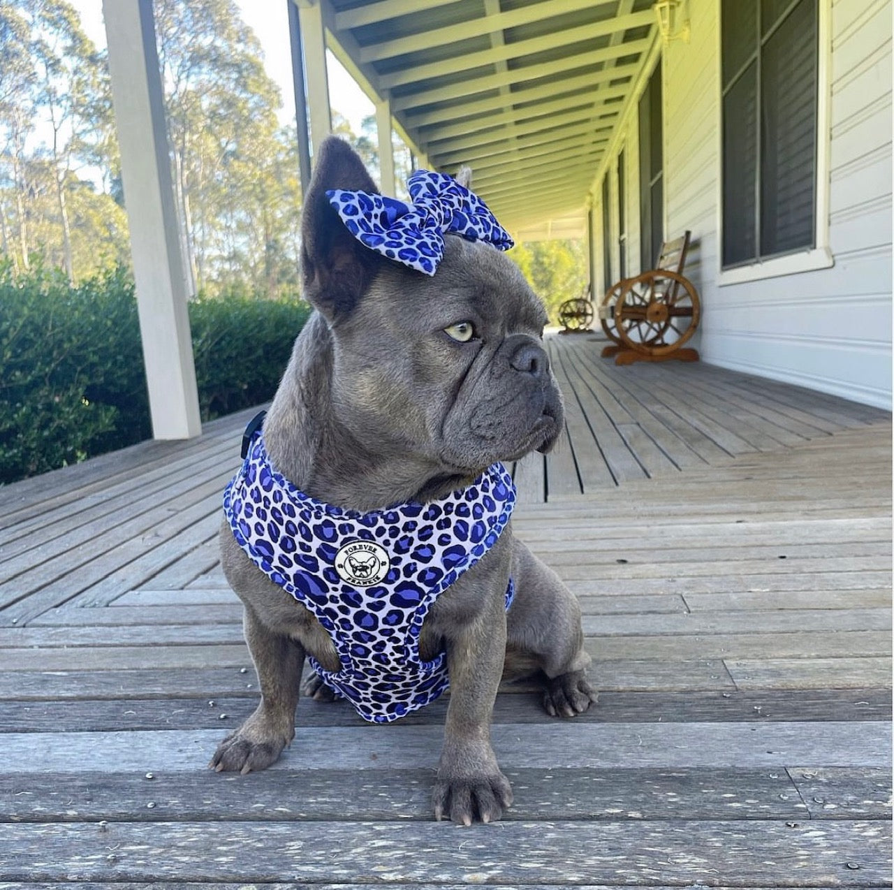 Purple Wild Thing - Bow Tie