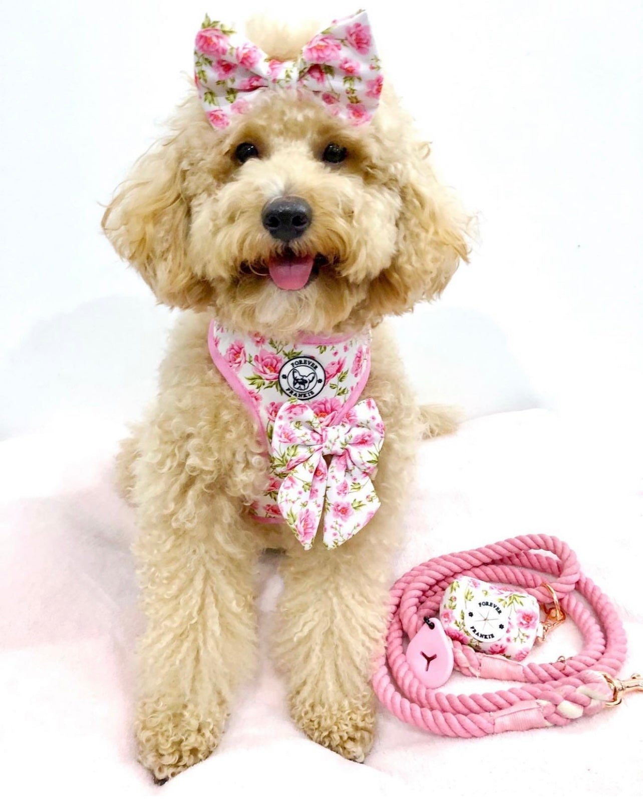 Peony Blooms - Bow Tie