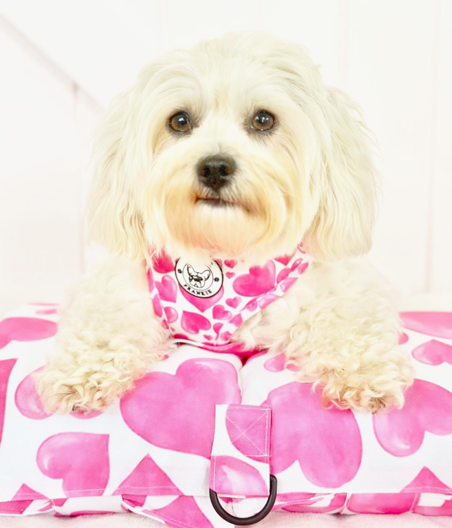 Sweethearts - Adventure Mat