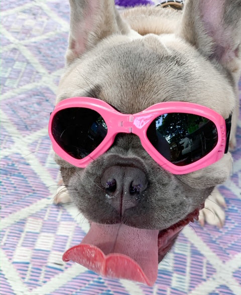 Dog Sun Doggles PINK.