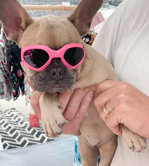 Dog Sun Doggles PINK.