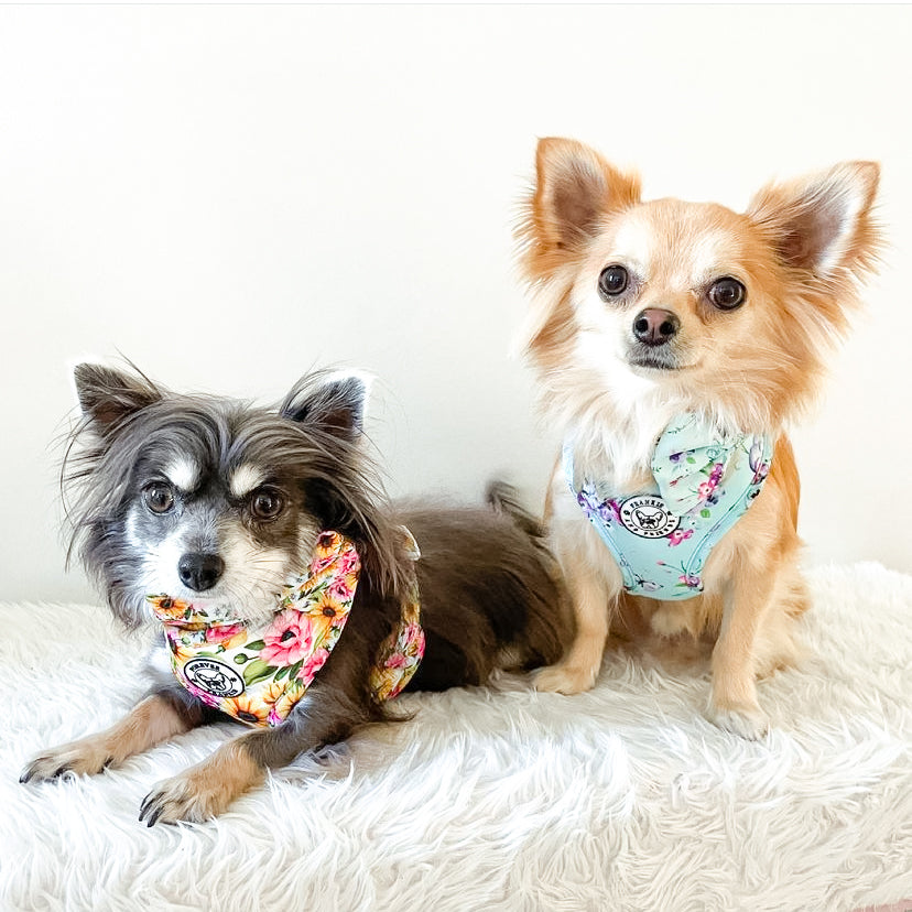 Spring Butterfly - Adjustable Harness - End Of Line