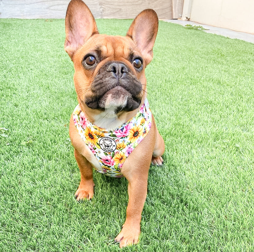 Heavenly Sunflower - Adjustable Harness