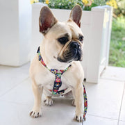 Graffiti - Strap Harness - End Of Line