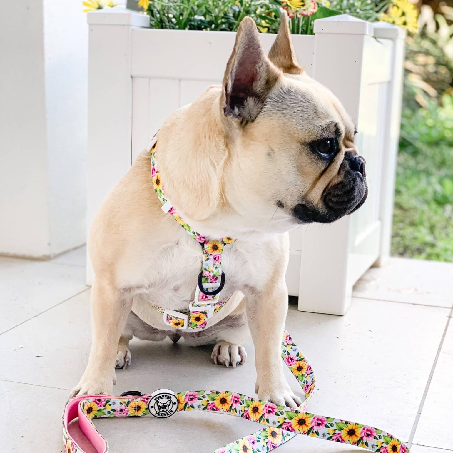 Heavenly Sunflower - Strap Harness - End of Line