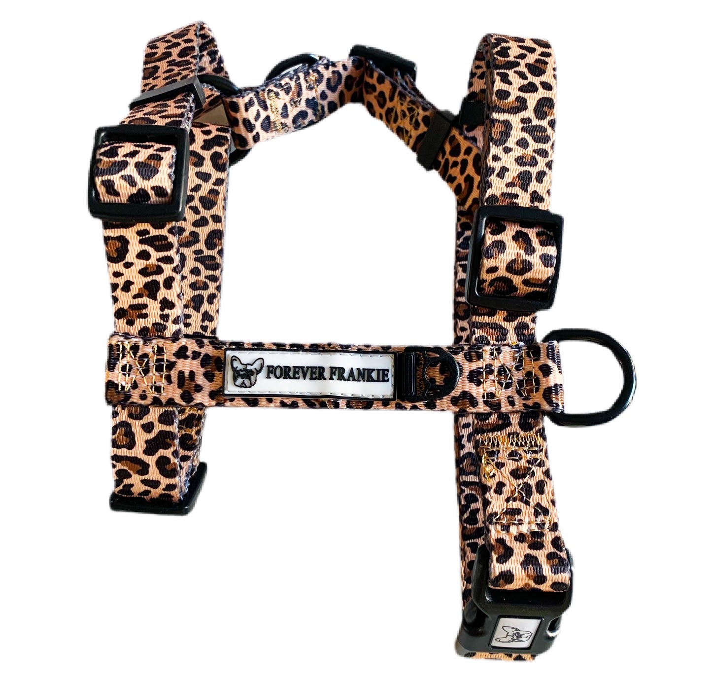 Born to be Wild - Strap Harness
