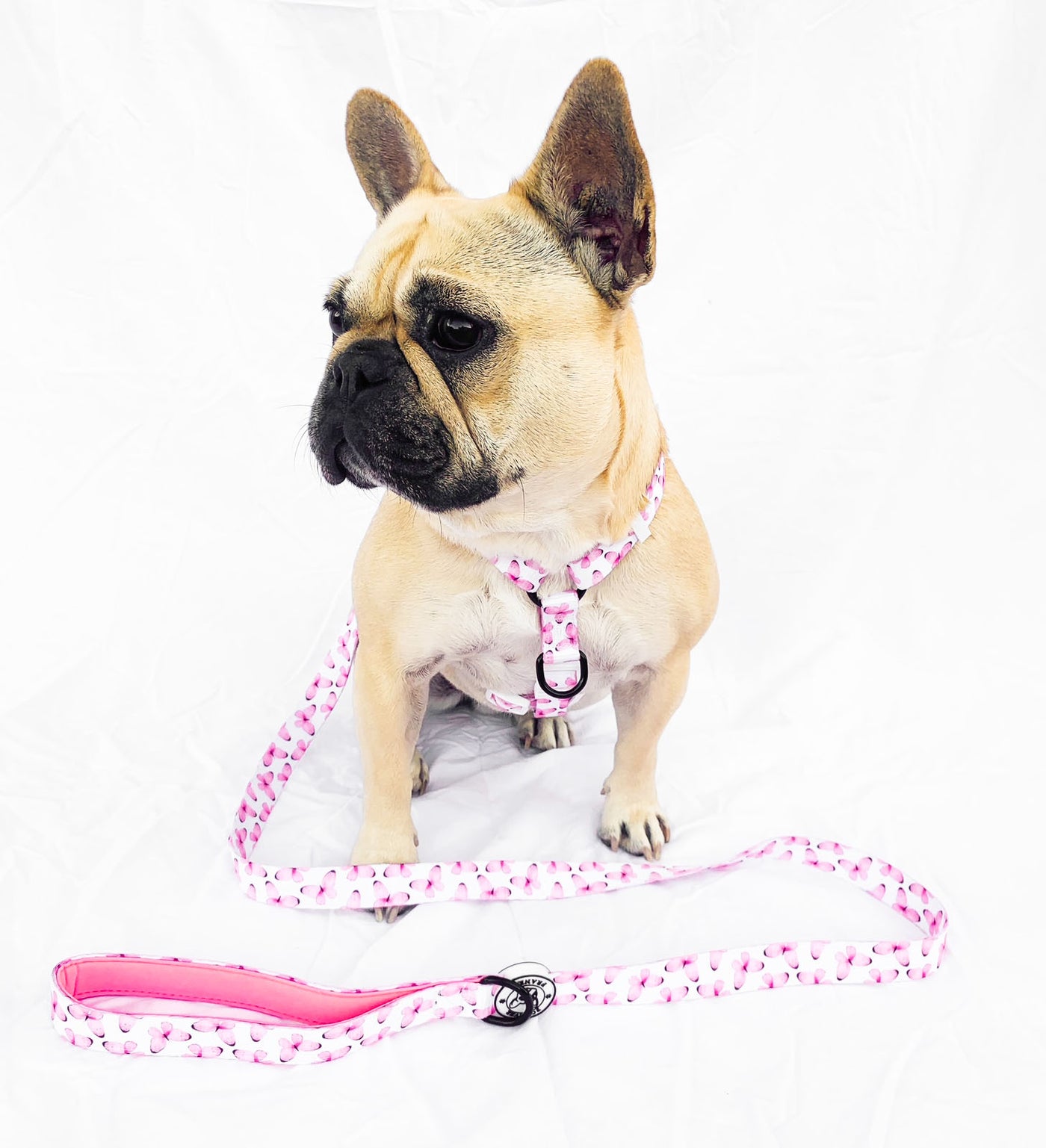 Butterfly Kisses - Strap Harness