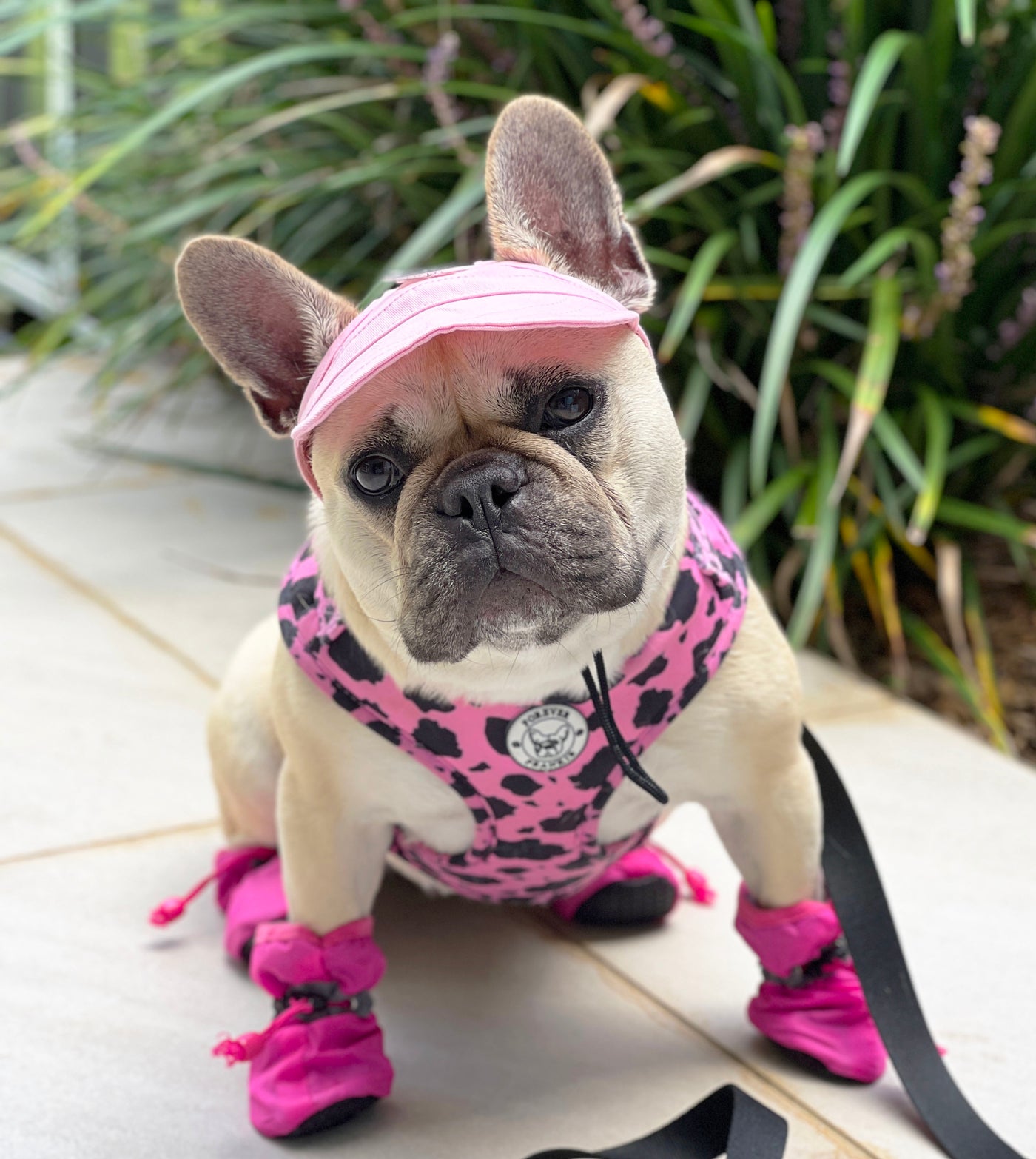 Dog Booties - Pink