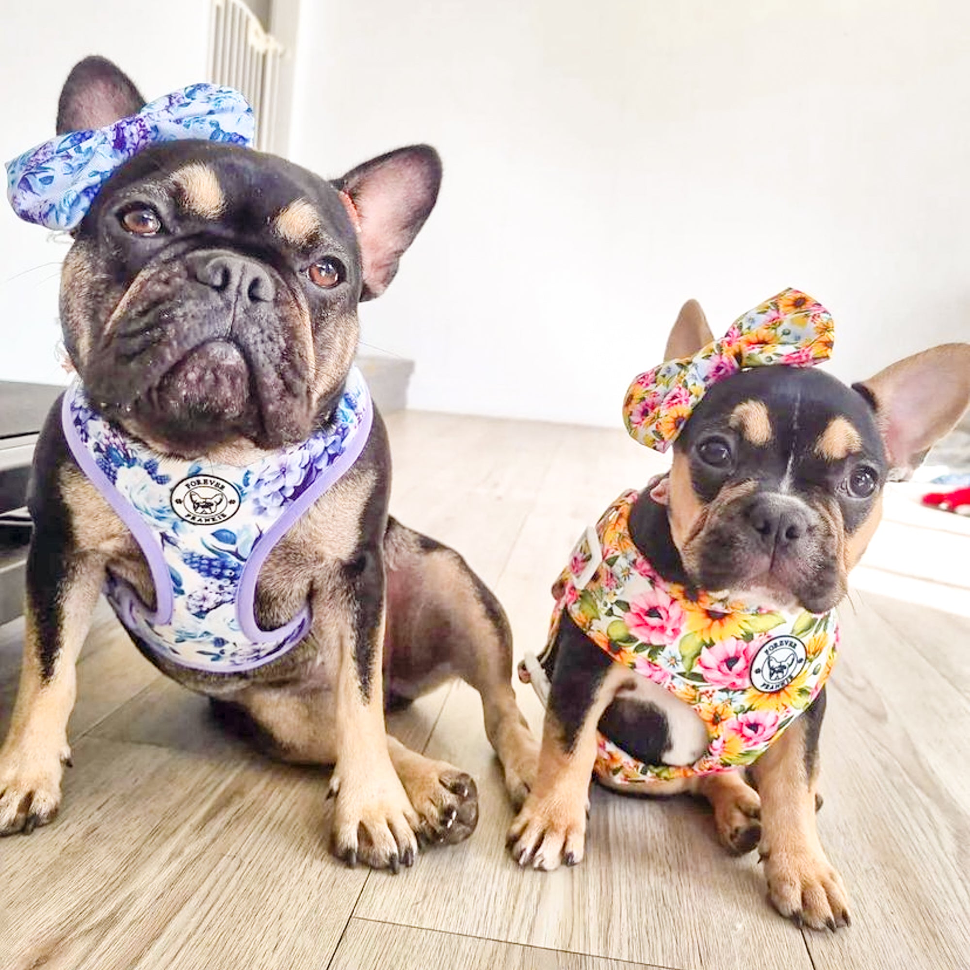 Purple Floral - Adjustable Harness - End of Line