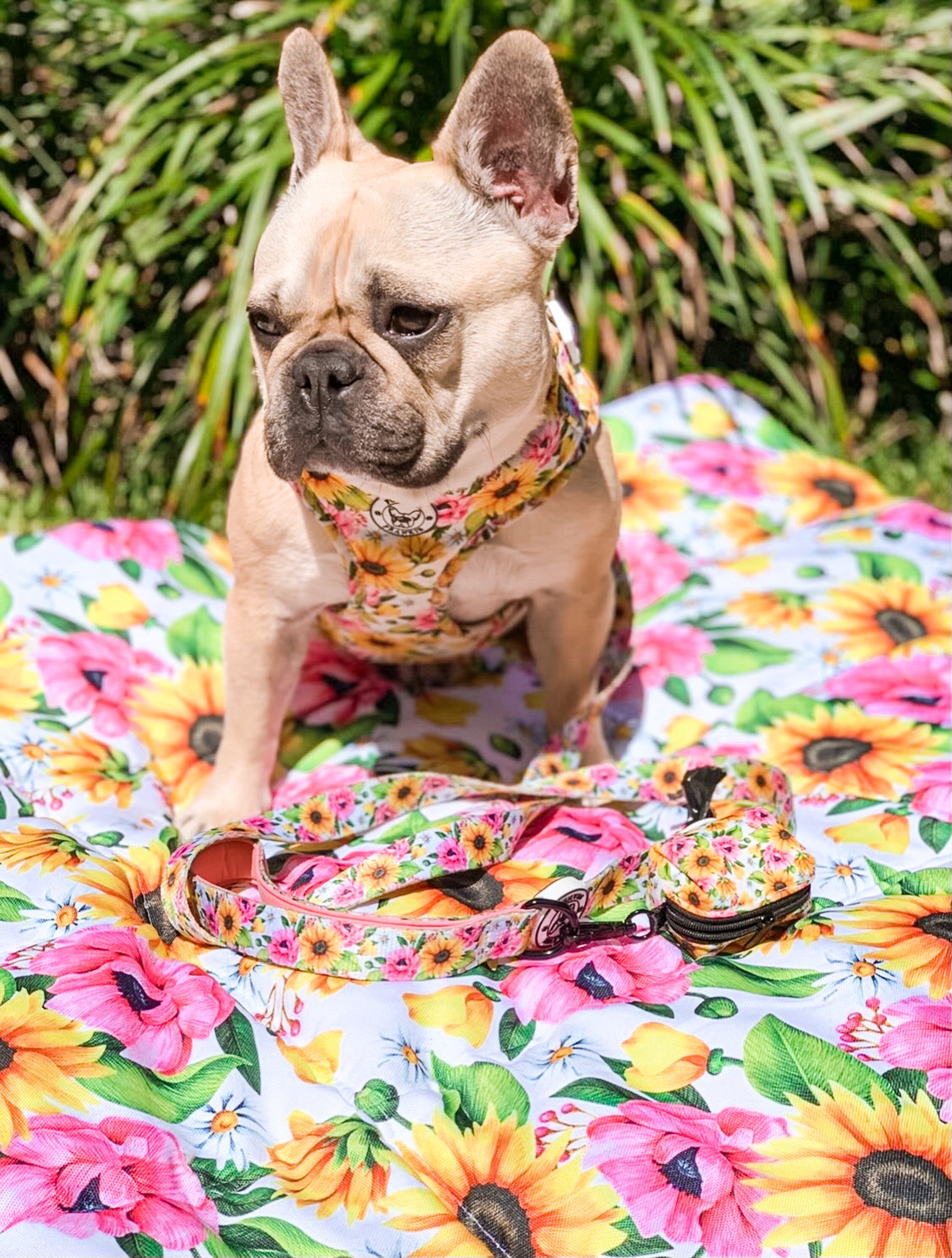 Heavenly Sunflower - Dog Lead