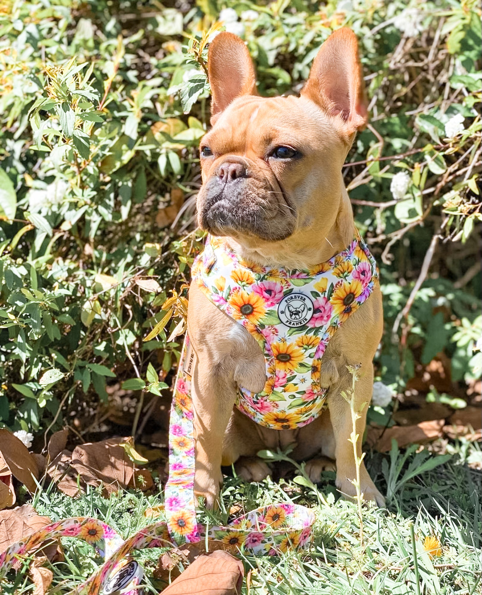 Heavenly Sunflower - Adjustable Harness