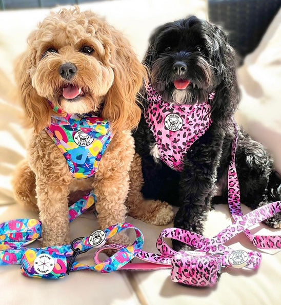 Pink Leopard - Adjustable Harness