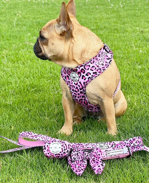 Pink Leopard - Adjustable Harness