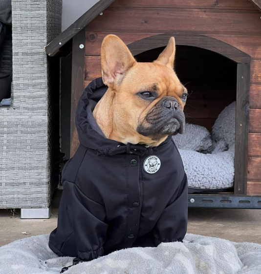 Black dog rain jacket sales