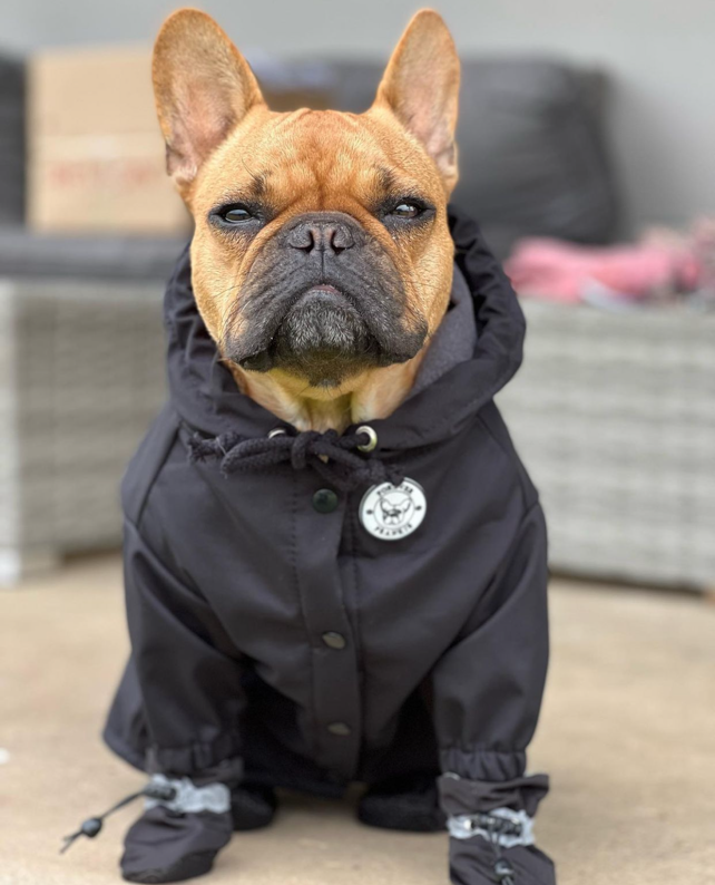 Midnight Black - Dog Rain Jacket