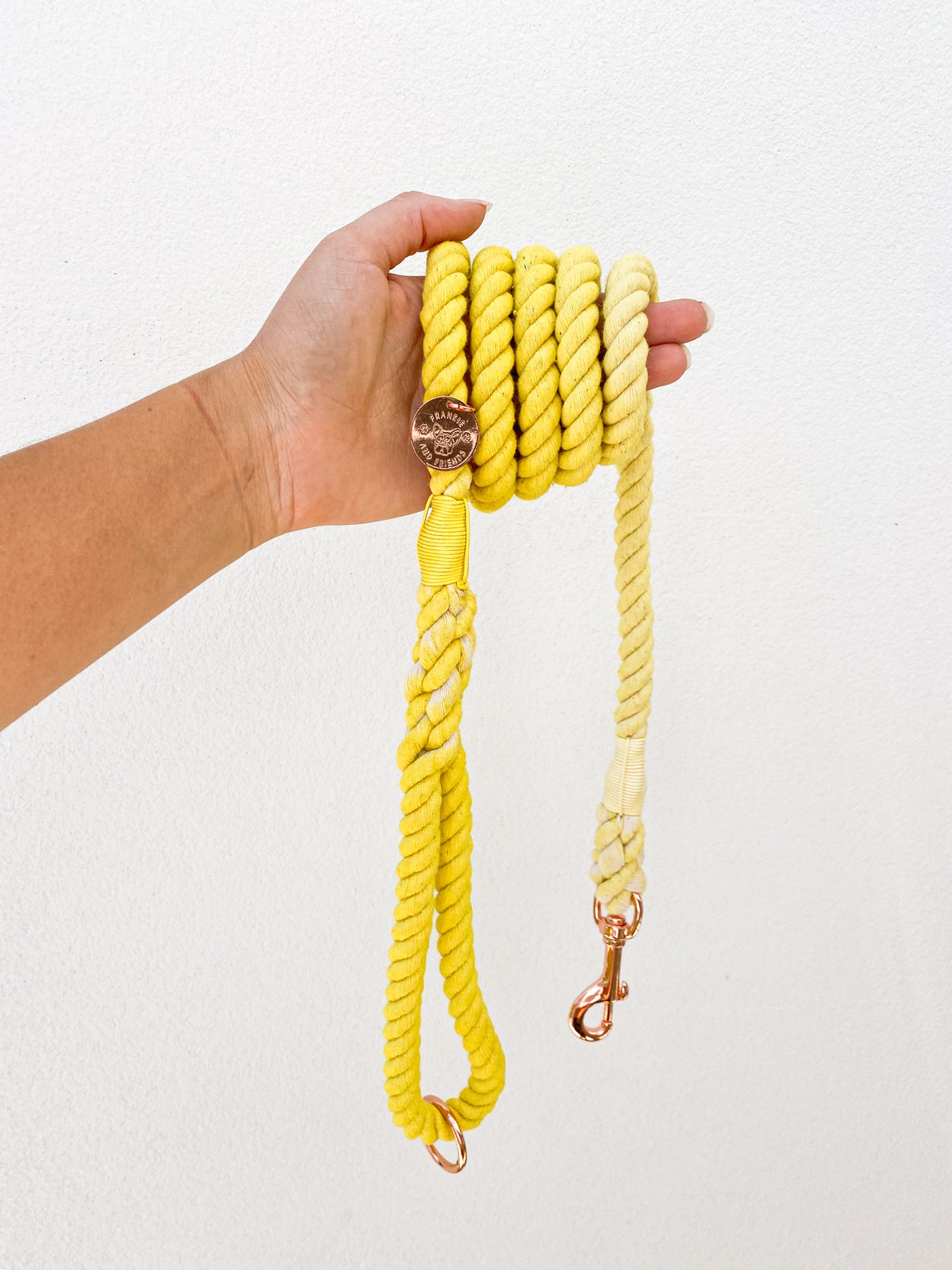 Lemon Yellow Ombre - Rope Dog Lead