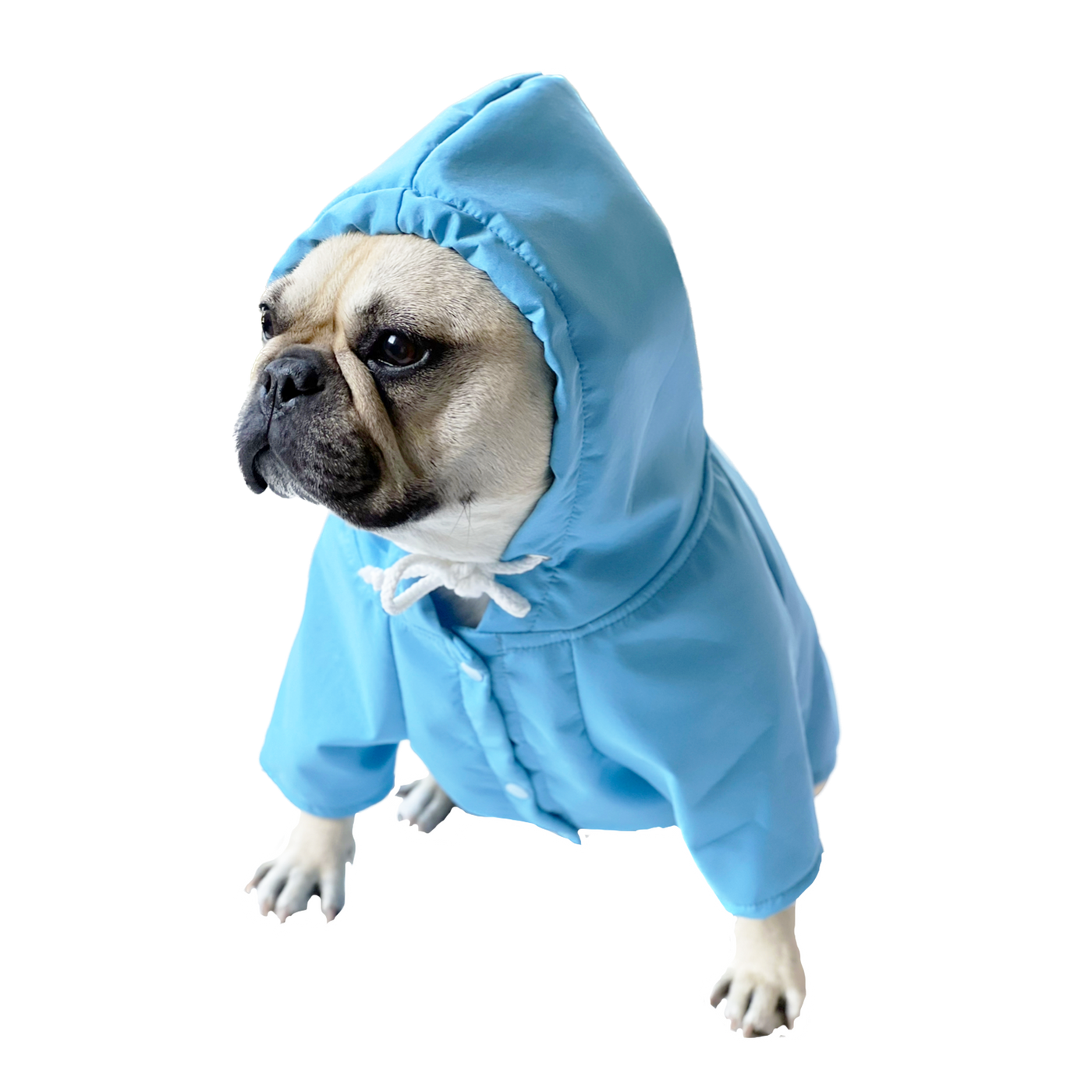 Sky Blue - Dog Rain Jacket