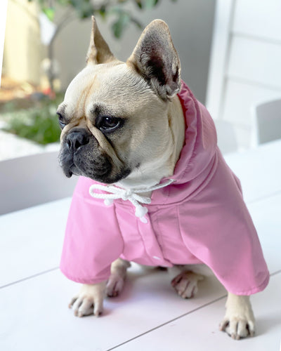 Pink - Dog Rain Jacket