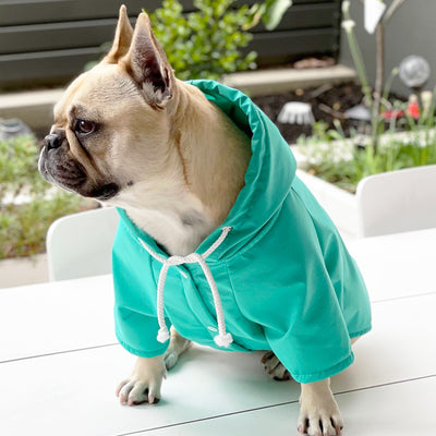 Mint Green - Dog Rain Jacket