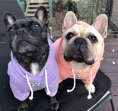 Lavender Purple - Dog Hoodie