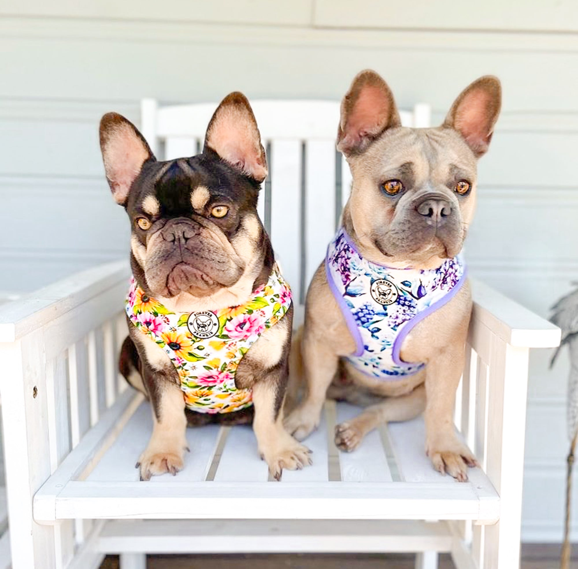 Purple Floral - Adjustable Harness - End of Line