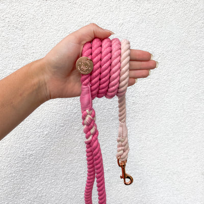 Ombre Pink - Rope Dog Lead