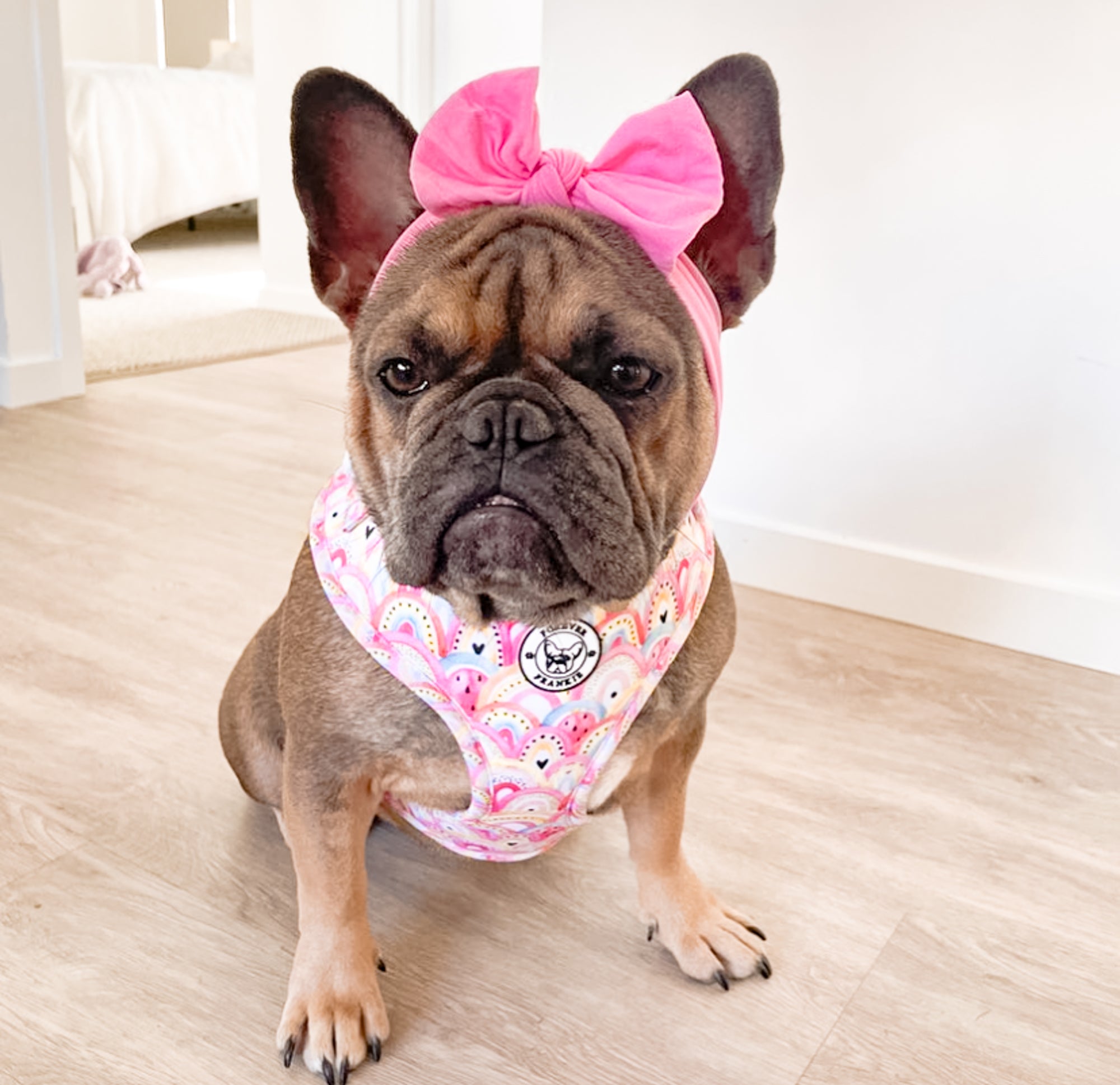 Chasing Rainbows - Adjustable Harness