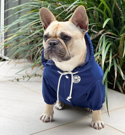 Navy Blue - Dog Rain Jacket