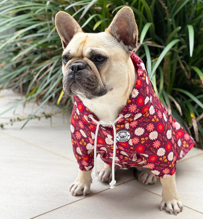 Red Floral  - Dog Rain Jacket
