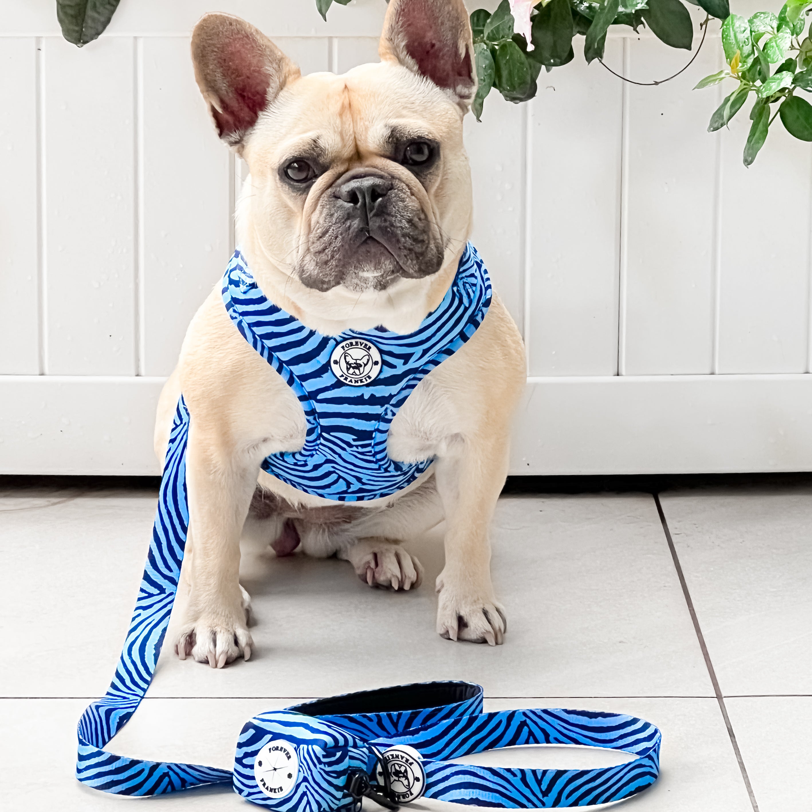 Safari Blues - Adjustable Harness - End Of Line