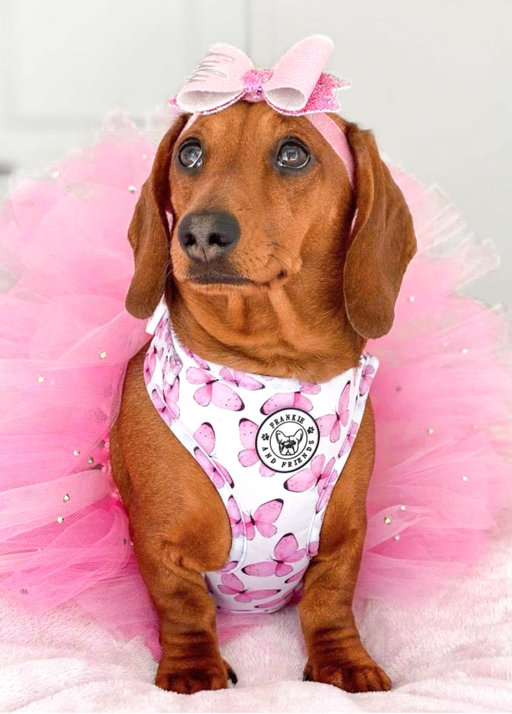 Butterfly Kisses - Adjustable Harness