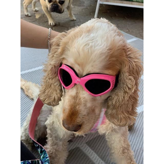 Dog Sun Doggles PINK.