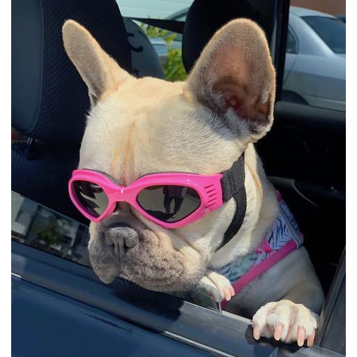 Dog Sun Doggles PINK.