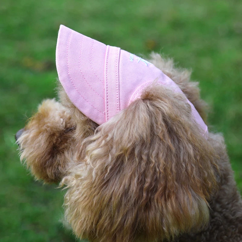 Dog Cap - Pink